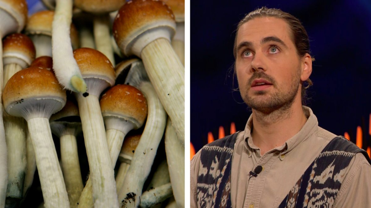 Blivande statsministerns son om upplevelsen med magic mushrooms. 